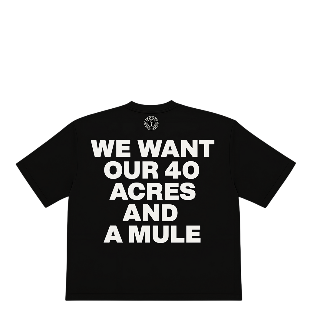 4O ACRES AND A MULE TEE